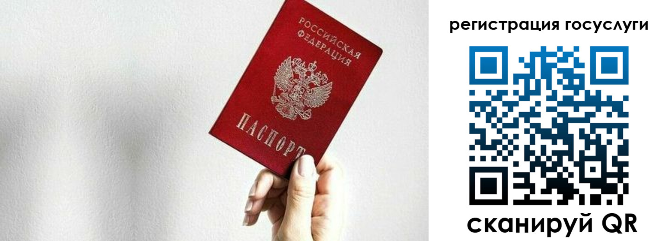 прописка гарантия в Белой Калитве